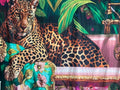 The Untamed Beauty